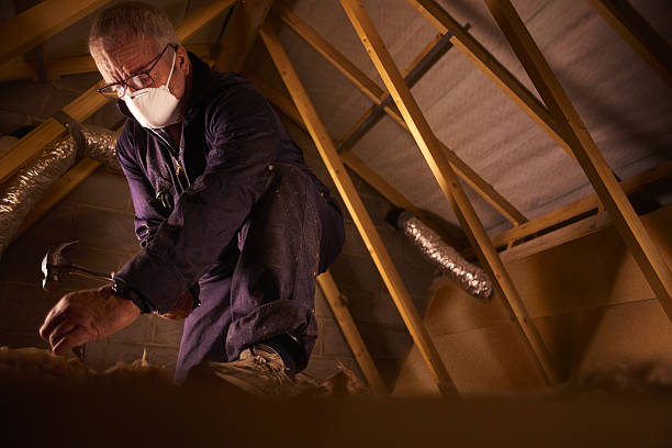 Best Insulation for Specific Applications in Haliimaile, HI